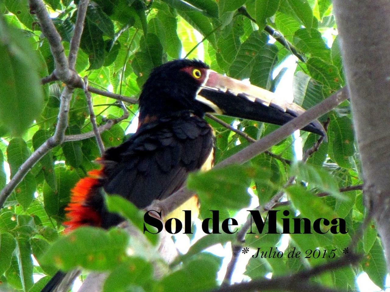 Sol De Minca Eco Lodge Ngoại thất bức ảnh
