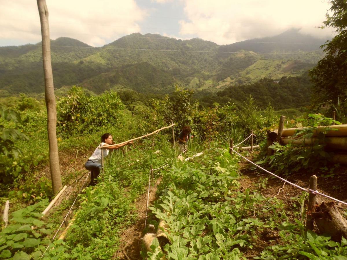 Sol De Minca Eco Lodge Ngoại thất bức ảnh