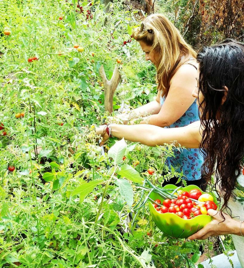 Sol De Minca Eco Lodge Ngoại thất bức ảnh